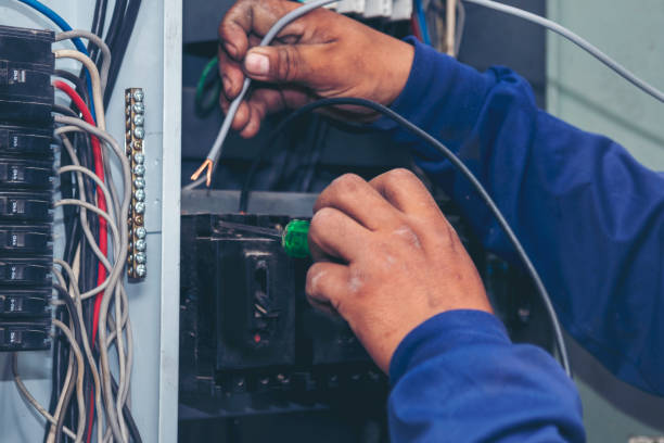 Best Electric Panel Repair  in Plainview, MN